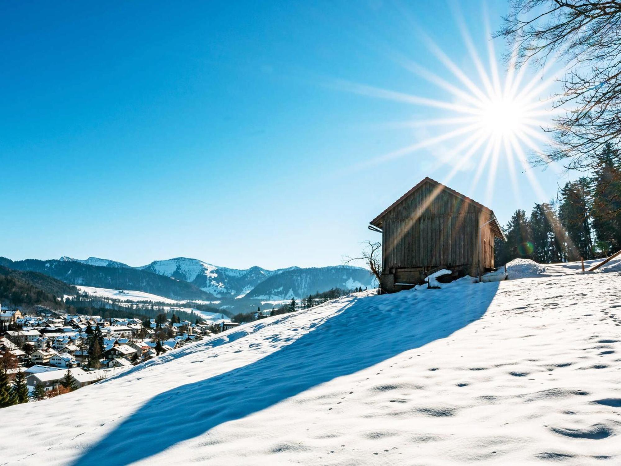 Allgaeu Luxury Apartment Bergloewe Mit Sauna Oberstaufen Ngoại thất bức ảnh
